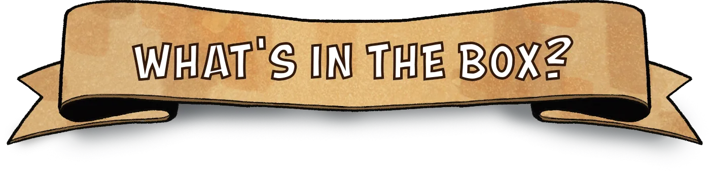 What's in the Box?